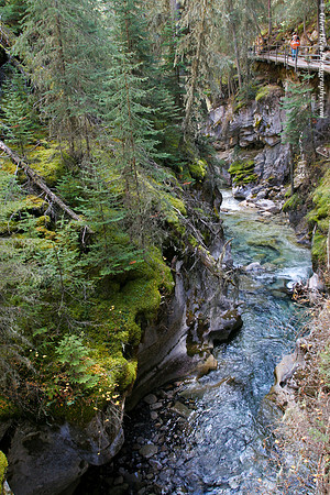 Johnston Canyon