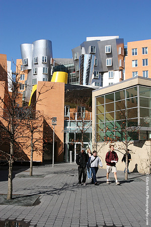 Stata Center
