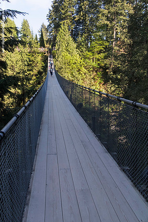 Capilano Suspension Bridge