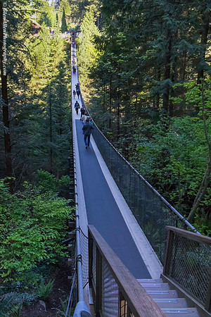 Capilano Suspension Bridge