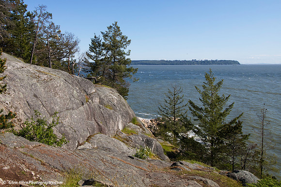 Lighthouse Park
