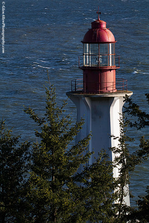 Lighthouse Park