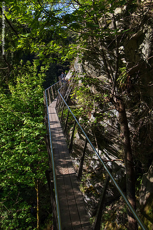 Capilano Suspension Bridge