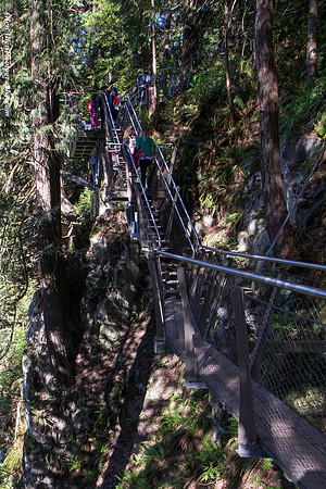 Capilano Suspension Bridge