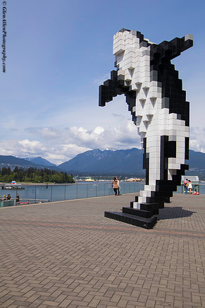 Digital Orca