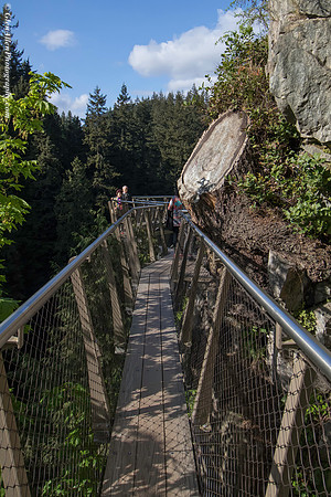 Capilano Suspension Bridge