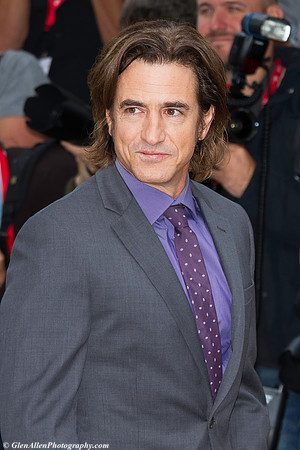 Dermot Mulroney