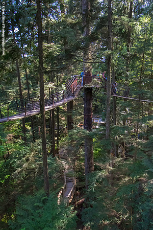 Capilano Suspension Bridge