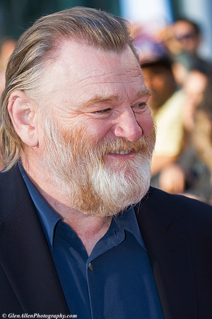 Brendan Gleeson
