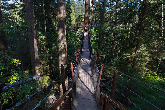 Capilano Suspension Bridge