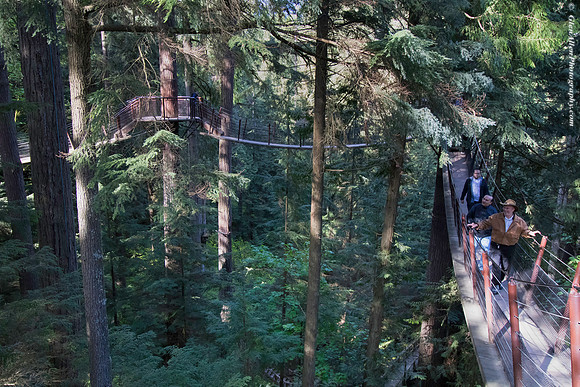 Capilano Suspension Bridge