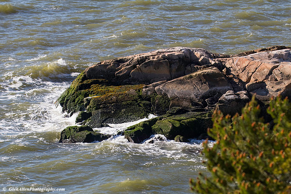 Lighthouse Park