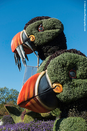 MOSAÏCANADA 150