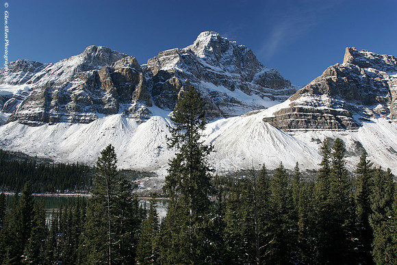 Crowfoot Glacier