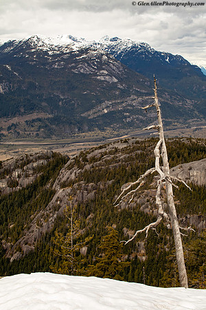 Sea to Sky Gondola