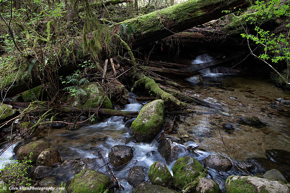 Olesen Creek