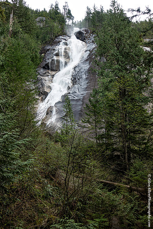 Shannon Falls