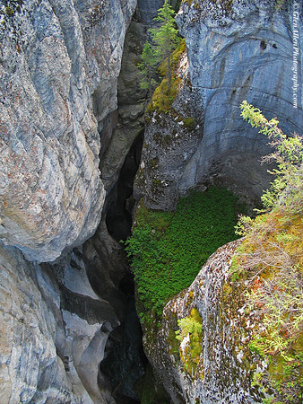 Maligne Canyon