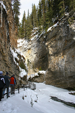 Johnston Canyon