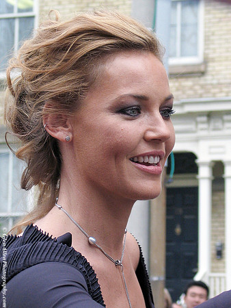 Connie Nielsen attending the red carpet gala premier for "Return to Sender" at the 2004 Toronto International Film Festival