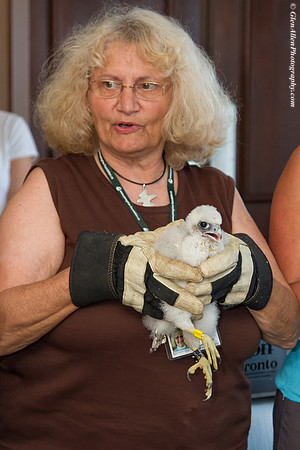 Volunteers pose with chicks