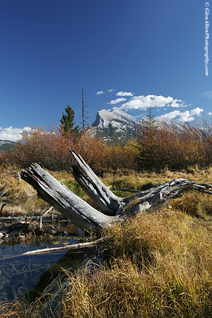 Vermillion Lakes
