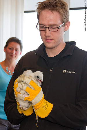 Volunteers pose with chicks