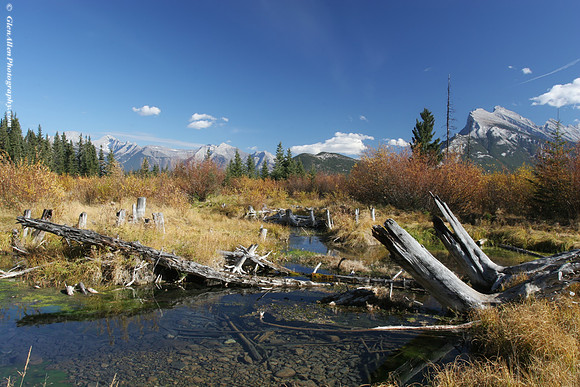 Vermillion Lakes