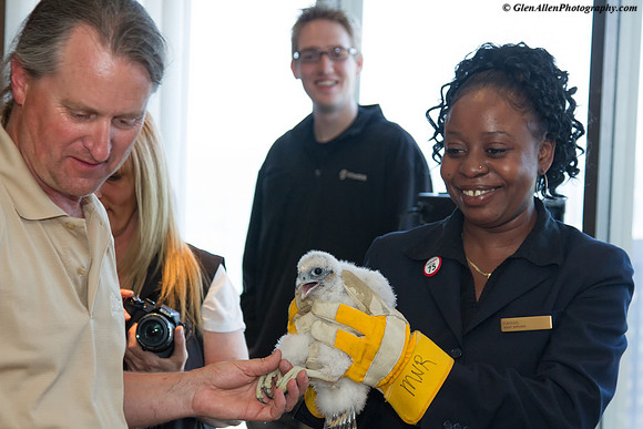 Volunteers pose with chicks