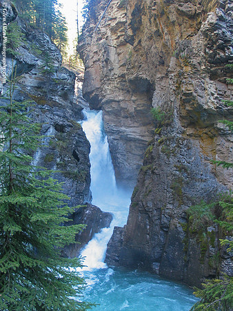 Johnston Canyon